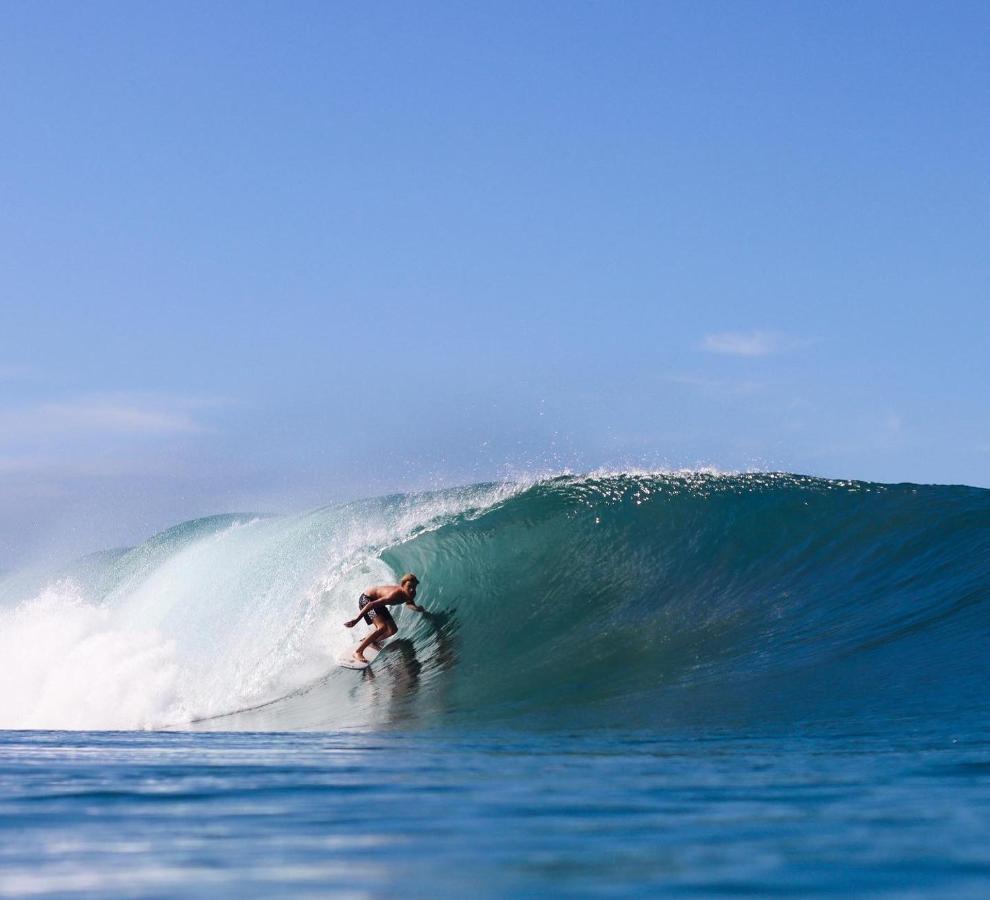 Cabana Surf And Stay Biha Dış mekan fotoğraf